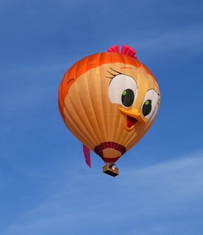 ballonvaart 6 personen